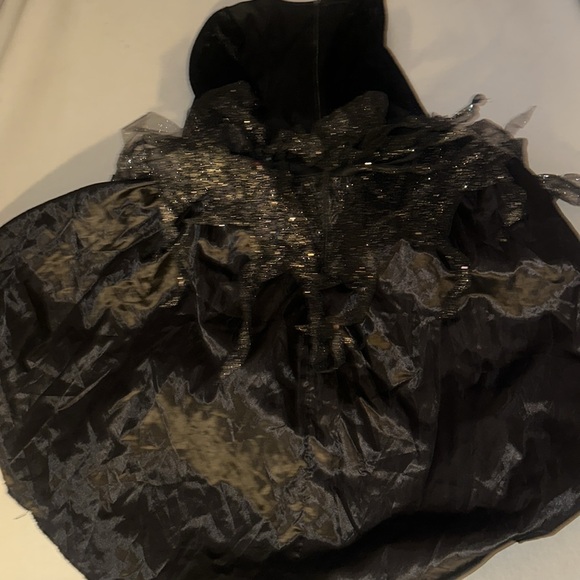 Womens Size 3X Halloween Costume. - Picture 3 of 6